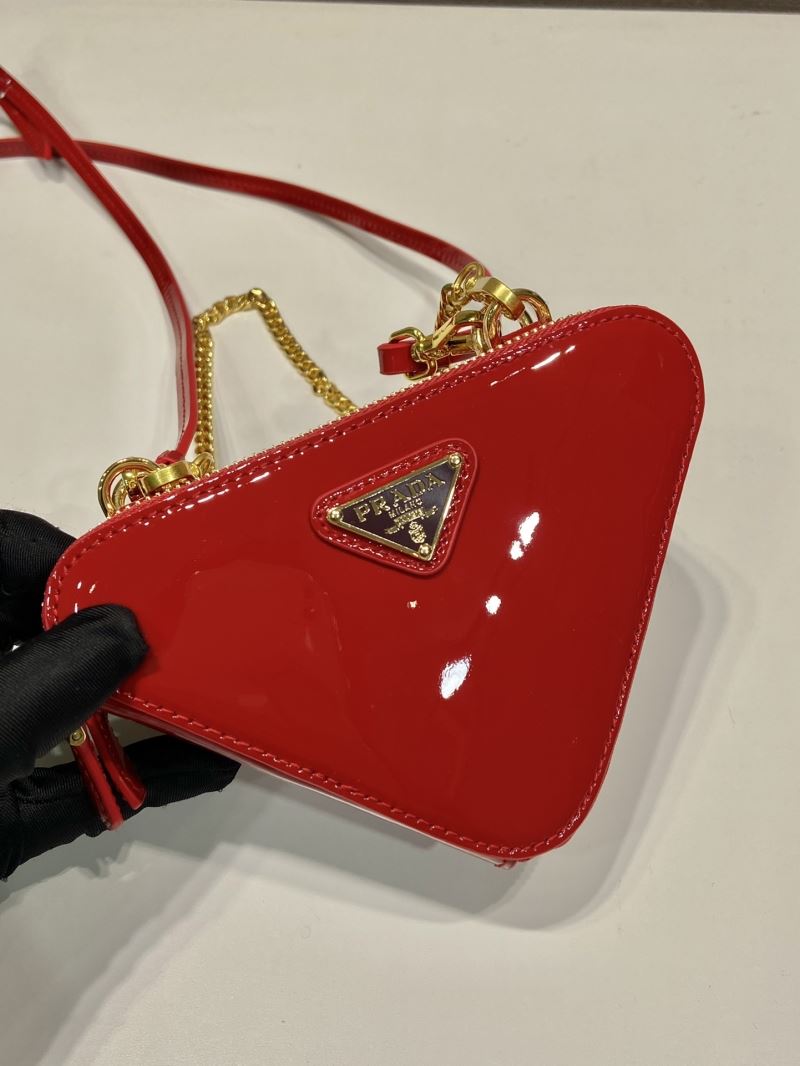 Pra*a triangle pouch